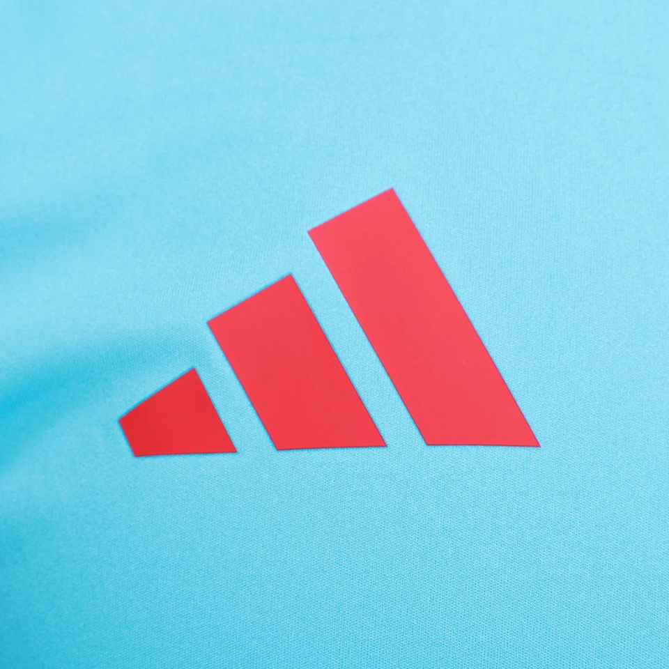 Camisa Adidas Treino Flamengo 2025/26