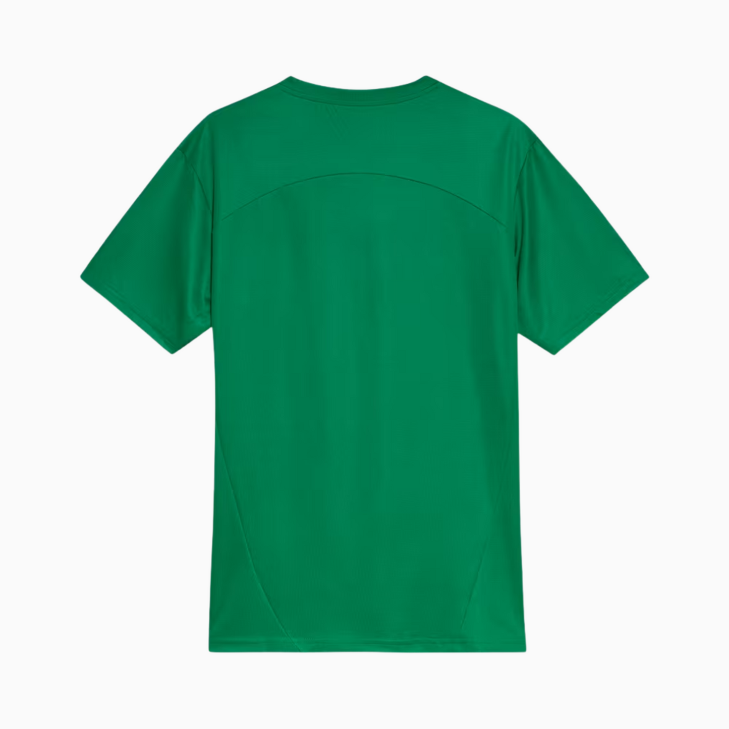 Camisa Palmeiras 2025/26 Treino