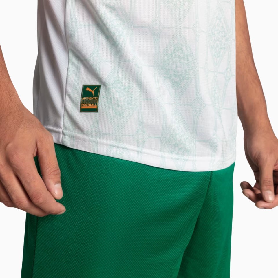 Camisa Puma Palmeiras 2025/26 II Jogador